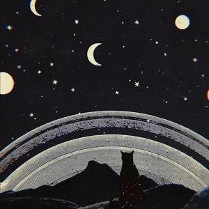 凌嘉演过的角色全部作品
